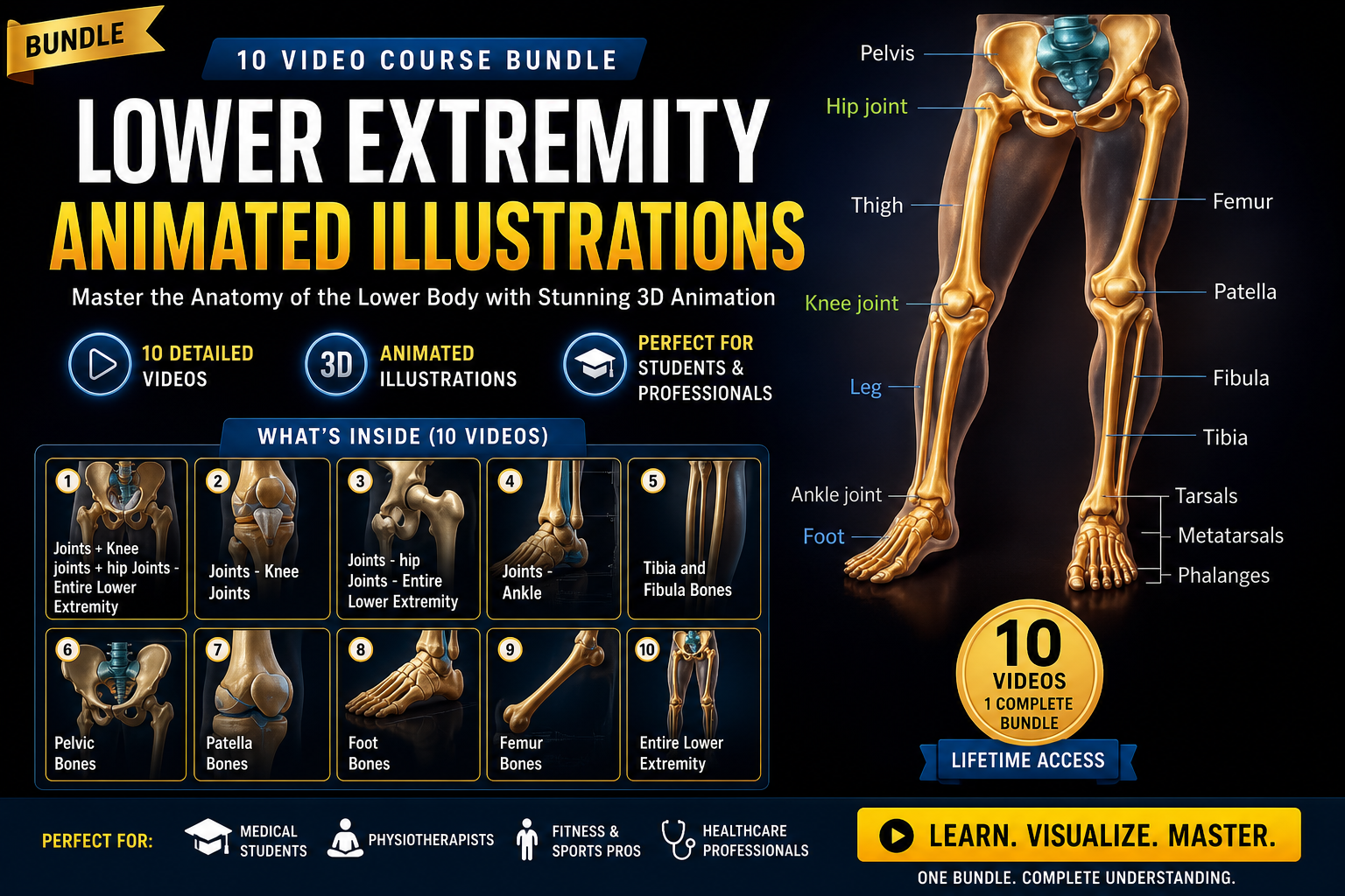 Lower Extremity Animated Illustrations ( LEAI )