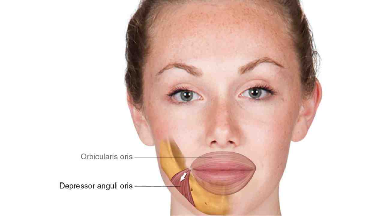 Depressor Anguli Oris