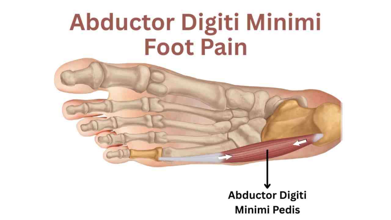 Abductor Digiti Minimi Pedis