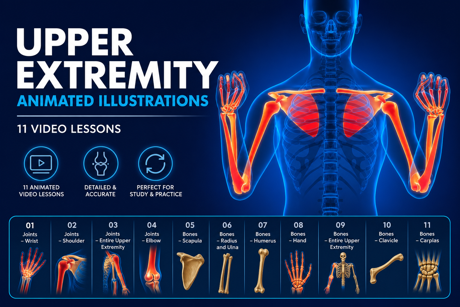 Upper Extremity Animated Illustrations ( UEAI )