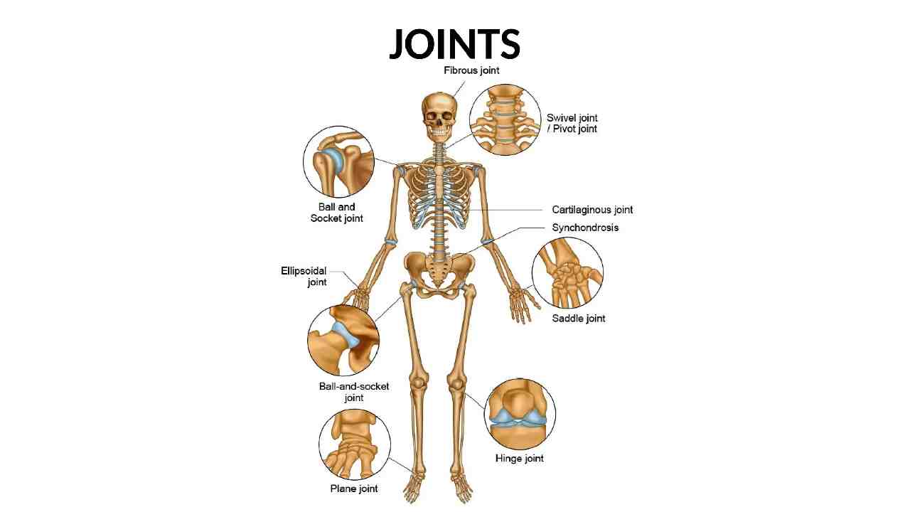 Joint Action Terminology