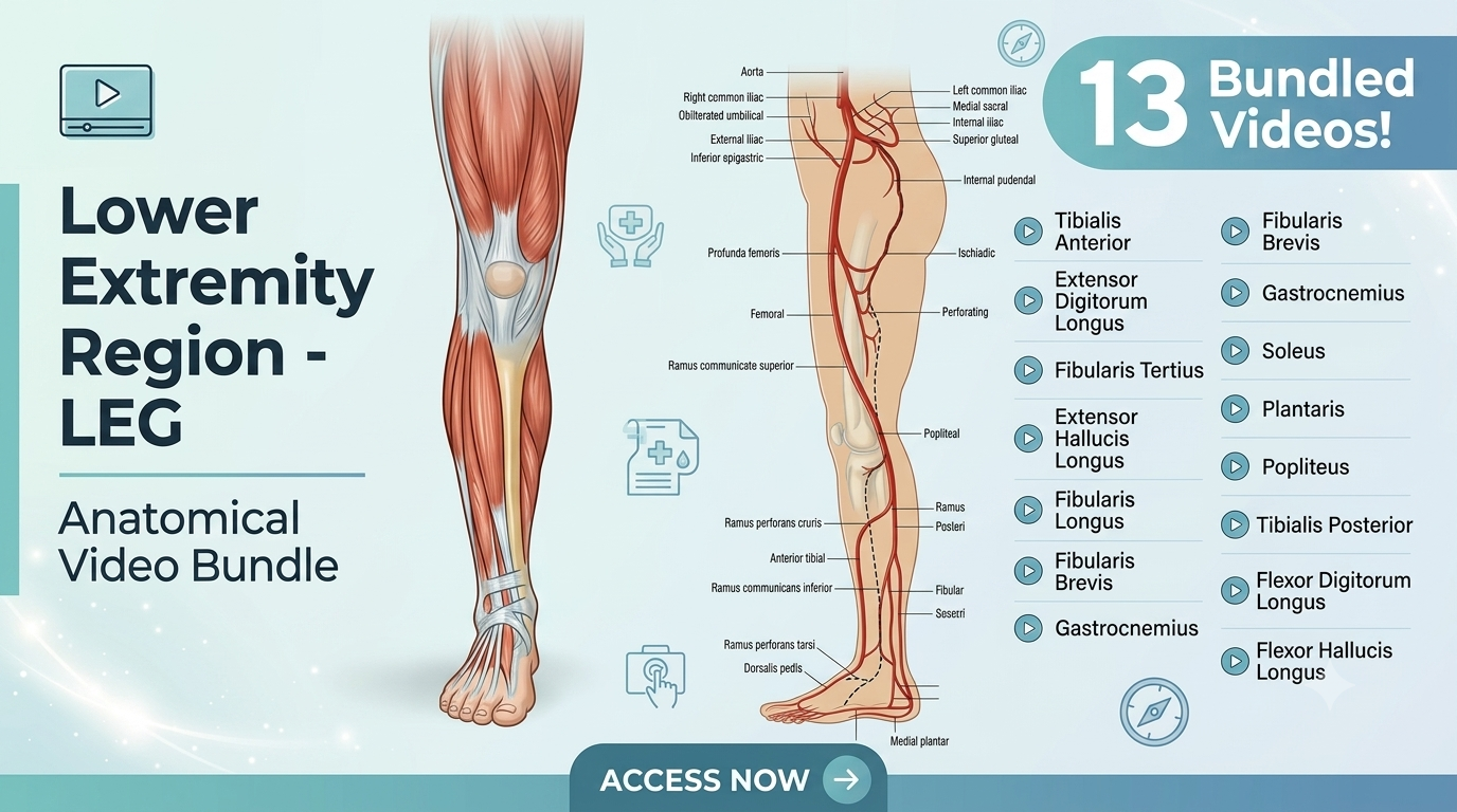 LEG Course