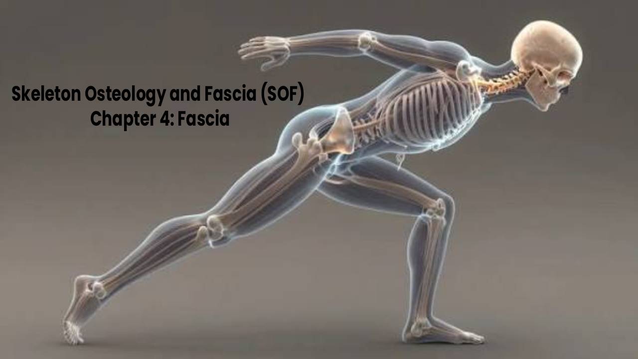 Skeleton Osteology and Fascia (SOF) – Chapter 4: Fascia