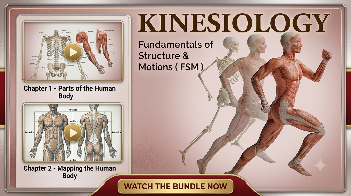 Fundamentals of Structure & Motions ( FSM )