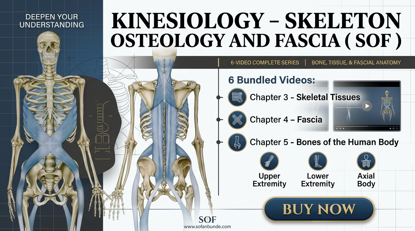 Skeleton Osteology and Fascia ( SOF )